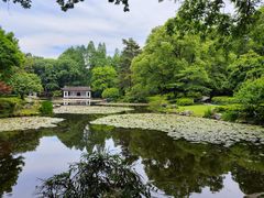 -楼外楼(玉泉店)