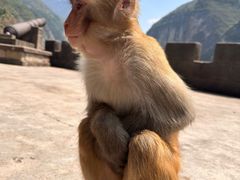 -白帝城·瞿塘峡景区