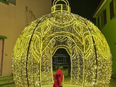 -大塘金香草谷