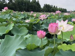 -润记农家菜