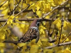 -北京麋鹿生态实验中心