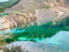 -树山生态村