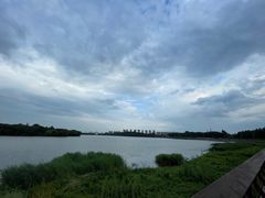 -丁香湖公园