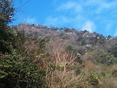 -东天目山风景区