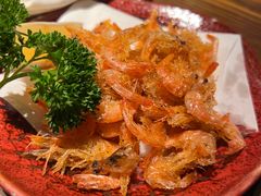 -鸟屯(三里屯店)