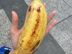 -青澳湾北回归线广场