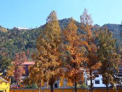 -九华山风景区