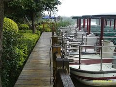 -大湾区中央湿地公园