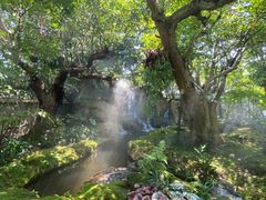 -Chom Cafe and Restaurant