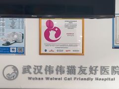 -伟伟宠物医院·瑞派猫友好医院·猫科(光谷店)