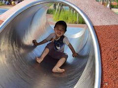 -春花秋色城市公园