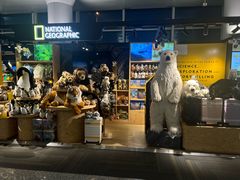 -锦龙国际酒店(天津奥体中心华苑地铁站店)