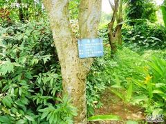-放鸡岛生态旅游国际度假区