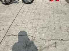 -道路口单车爱瓦士dahon大行