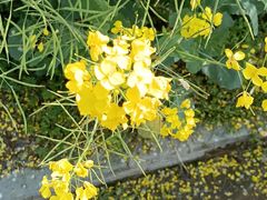 -独一道·邵伯龙虾土菜馆·烧烤(雨花西路店)