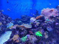 -成都浩海立方海洋公园