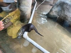 -昆明动物园
