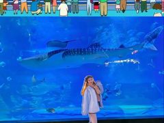 -烟台海昌鲸鲨海洋公园