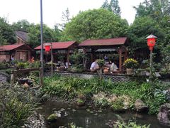 -青城甲(青城山店)