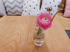 -CHEZ JASMINE 茉莉的氧气厨房