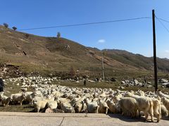 -芦芽山旅游度假区