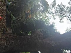 -九龙公园