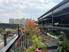 -野菌皇海景野生菌火锅(滨海大道店)