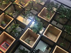 -台北楚楚园馅饼粥(虹桥南丰城店)
