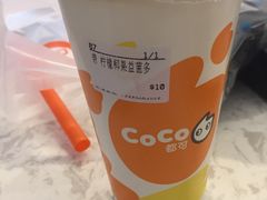 -CoCo都可(昆百大店)