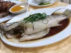清蒸鲈鱼-老字号蛇口德记烧腊饭店·海鲜加工