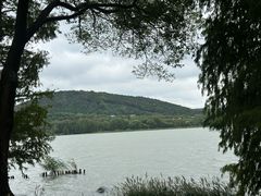 -高子水居