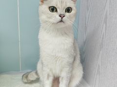 -纳吉亚猫专科动物医院·北北分院