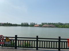 -上海长兴岛郊野公园