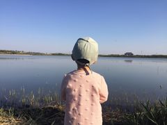 -天津东丽湖风景区