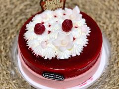 -哈根达斯(深圳海岸城店)