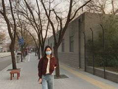 -三里屯东五街银杏大道