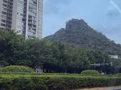 -椿记烧鹅(叠彩店)