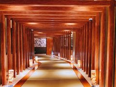-重庆南山海昌汤都