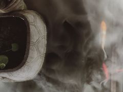 -三只耳火锅(宽窄巷子店)
