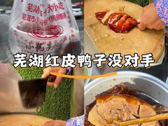 -赭山公园