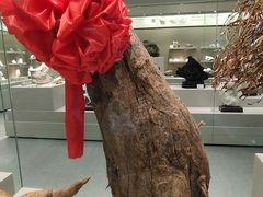 -北京中医药大学-中医药博物馆