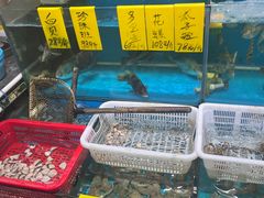 -崖口红树林海鲜餐厅