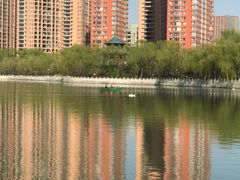 -迎泽公园