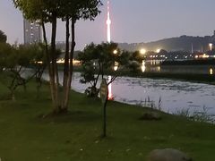 -月湖风景区