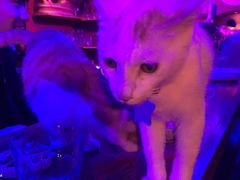 -星宿秘码(鼓浪屿老店)