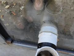 -北京鹿世界主题园