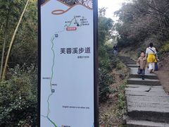 -长沙黑麋峰国家森林公园