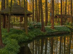 -黄海国家森林公园