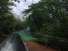 -富斯特索道