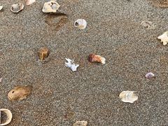 -青岛银沙滩